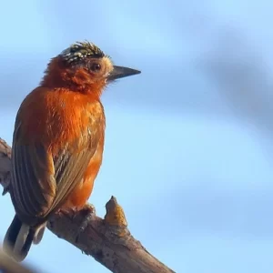 Caribbean Coast, Santa Marta & Perija